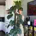 Fern Patreon picture