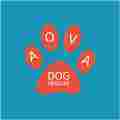 AOVA Dog Shelter Patreon picture