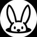 Benevolent Bunny Patreon picture