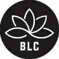 Black Lotus Coalition Patreon picture
