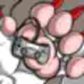 Blackrat Patreon picture