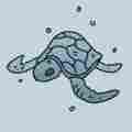 Blue Turtle Patreon picture