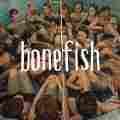 Bonefish Patreon picture