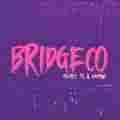BRIDGECO Patreon picture