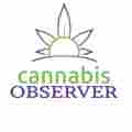 Cannabis Observer Patreon picture