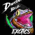Dakotah Blue Exotics Patreon picture