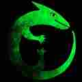 deeplizard Patreon picture