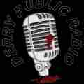 Derry Public Radio - A Stephen King Book Club Podcast Patreon picture