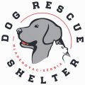 Dog Rescue Shelter, Serbia Patreon picture