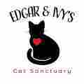 Edgar And Ivys Cat Sanctuary  Patreon picture