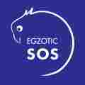 EGZOTIC SOS Patreon picture