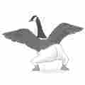 Extremely Accurate Bird Songs Patreon picture