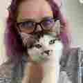 For The Love Of Kitten Rescue Patreon picture