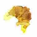 Floor Plan Croissant Patreon picture