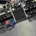 Gainsonwheels  Patreon picture
