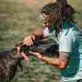 Grassroots K9 Patreon picture