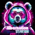 Hibernation Station Gaming Community Patreon picture