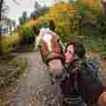 Idunn the Haflinger Patreon picture