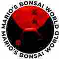 Mario's Bonsai World Patreon picture