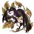 Merry Blackbird Postcard Society  Patreon picture