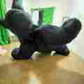 Fursuit TF Lab 【Nureba Ugor】 Patreon picture