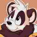 Paco Panda Patreon picture