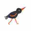 Orange Beak Picture Book Club Patreon picture