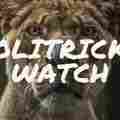 Politricks Watch Patreon picture