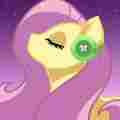 The Pony ASMR Project Patreon picture