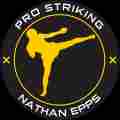 Pro Striking Patreon picture