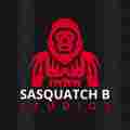 Sasquatch B Studios Patreon picture