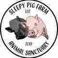 Sleepy Pig Farm Animal Sanctuary Patreon picture