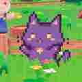 Snacko Dev Patreon picture