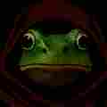 SneakyFrog Patreon picture