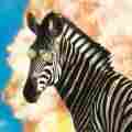 Sneaky Zebra Patreon picture