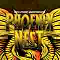 Solfire's Phoenix Club Patreon picture
