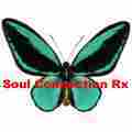 Soul Connection Rx LLC - Ascension Training Patreon picture