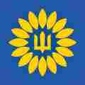 Sunflower Seeds Ukraine Patreon picture