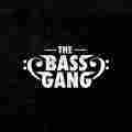 The Bass Gang Patreon picture