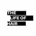 THE LIFE OF HAIR Patreon picture