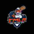 Tigers Minor League Report Patreon picture