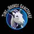 Tiny Hooves Sanctuary Patreon picture