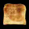 Toasty Digital Patreon picture