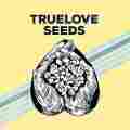 Truelove Seeds Patreon picture