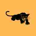 Mutual Aid For Veteran Black Panther Party Members Patreon picture
