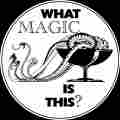 What Magic Is This? Patreon picture