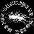 White Centipede Noise Podcast Patreon picture