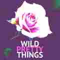 Wild Pretty Things Patreon picture