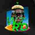 WZRD MODs Patreon picture