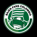 Bajen Fans Colombia Patreon picture
